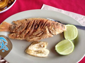 My very tasty fish...